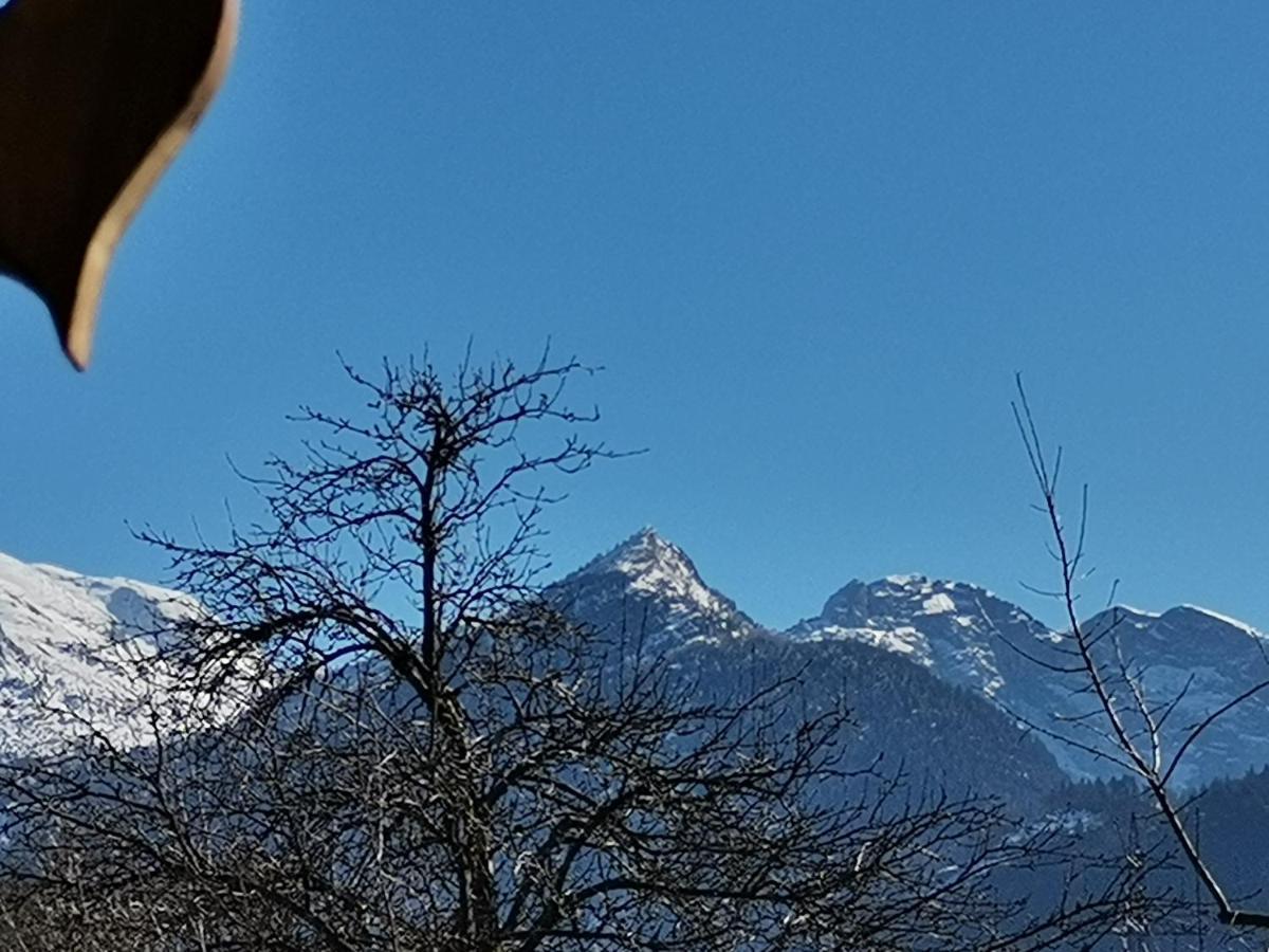 Campingplatz Torrenerhof Golling an der Salzach Eksteriør bilde